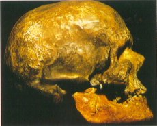 Hombre de [Cromagn�]