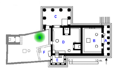 planta de l'Erectèon