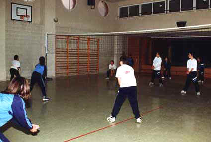 Voleibol en el cole