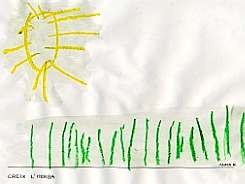 Creix l'herba. Anna M.