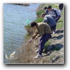 [Click to enlarge image]