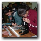 [Click to enlarge image]