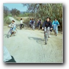 [Click to enlarge image]