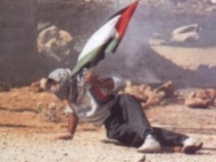 Imagens da Intifada