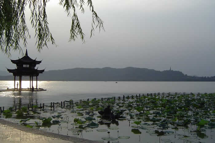 img. llac Xina