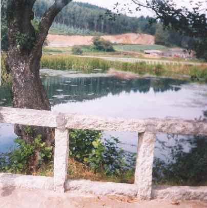 Fotografia del nacimiento del río Miño