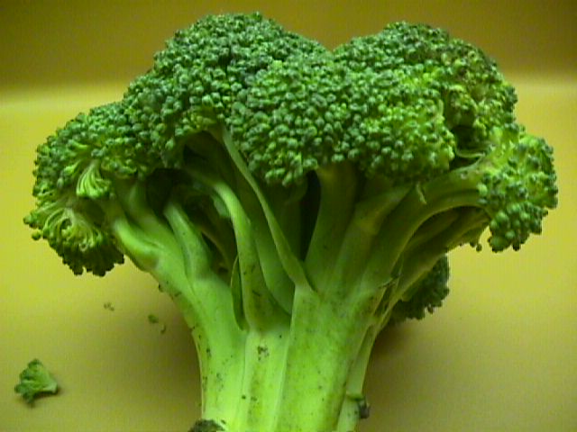 broccoli.jpg (48229 bytes)