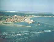 vaca.jpg (15477 bytes)