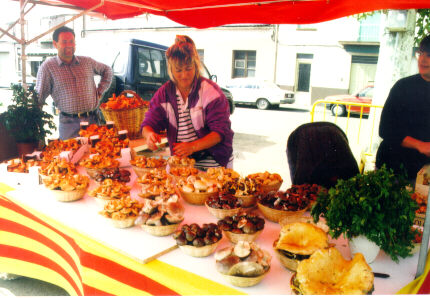 mercat del bolet