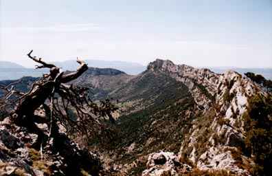 Serra de Carreu